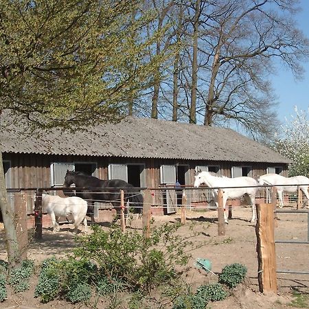 Ferienhof Schmidt Villa Ankum Eksteriør bilde